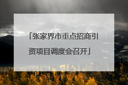 张家界市重点招商引资项目调度会召开