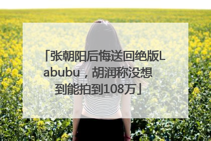 张朝阳后悔送回绝版Labubu，胡润称没想到能拍到108万