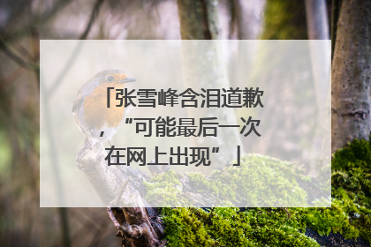 张雪峰含泪道歉，“可能最后一次在网上出现”