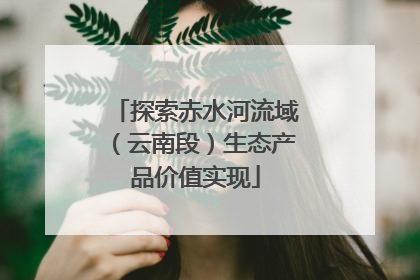 探索赤水河流域（云南段）生态产品价值实现