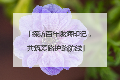 探访百年陇海印记，共筑爱路护路防线