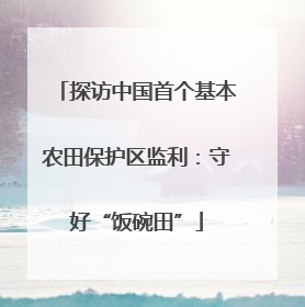 探访中国首个基本农田保护区监利：守好“饭碗田”