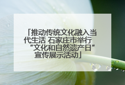推动传统文化融入当代生活 石家庄市举行“文化和自然遗产日”宣传展示活动