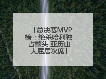 总决赛MVP榜：绝杀哈利独占鳌头 亚历山大屈居次席