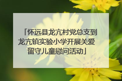 怀远县龙亢村党总支到龙亢镇实验小学开展关爱留守儿童慰问活动
