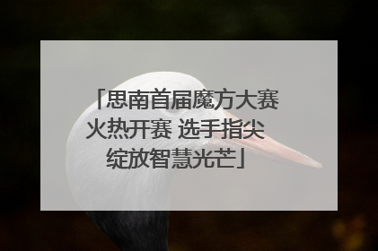 思南首届魔方大赛火热开赛 选手指尖绽放智慧光芒