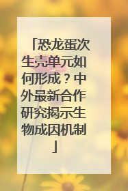 恐龙蛋次生壳单元如何形成？中外最新合作研究揭示生物成因机制