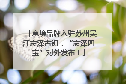 意境品牌入驻苏州吴江震泽古镇，“震泽四宝”对外发布！
