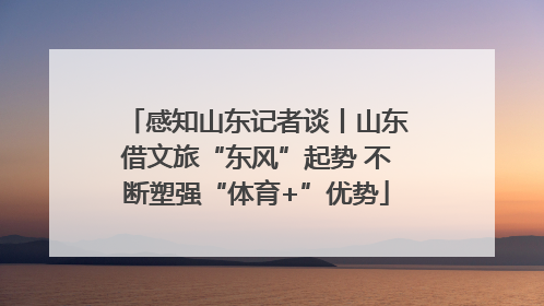 感知山东记者谈丨山东借文旅“东风”起势 不断塑强“体育+”优势