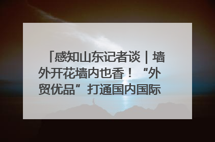 感知山东记者谈｜墙外开花墙内也香！“外贸优品”打通国内国际市场“旋转门”