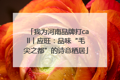 我为河南品牌打call丨应旺：品味“毛尖之都”的诗意栖居