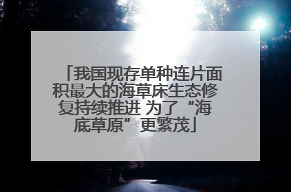 我国现存单种连片面积最大的海草床生态修复持续推进 为了“海底草原”更繁茂