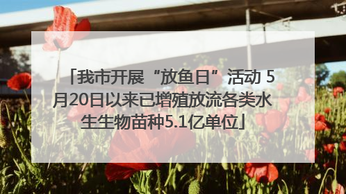 我市开展“放鱼日”活动 5月20日以来已增殖放流各类水生生物苗种5.1亿单位