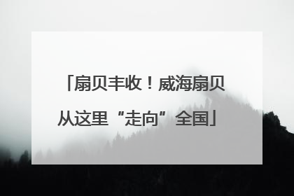 扇贝丰收！威海扇贝从这里“走向”全国