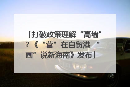 打破政策理解“高墙”？《“营”在自贸港 “画”说新海南》发布