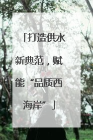 打造供水新典范，赋能“品质西海岸”