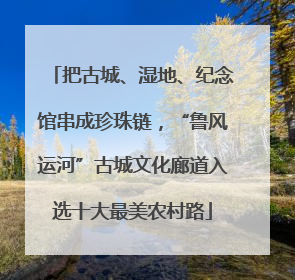 把古城、湿地、纪念馆串成珍珠链，“鲁风运河”古城文化廊道入选十大最美农村路