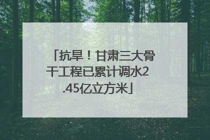 抗旱！甘肃三大骨干工程已累计调水2.45亿立方米