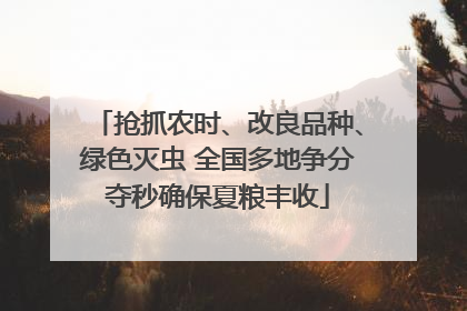 抢抓农时、改良品种、绿色灭虫 全国多地争分夺秒确保夏粮丰收