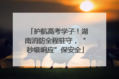 护航高考学子！湖南消防全程驻守，“秒级响应”保安全