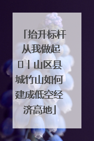 抬升标杆 从我做起⑭丨山区县城竹山如何建成低空经济高地