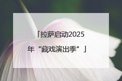 拉萨启动2025年“藏戏演出季”