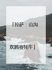 拉萨：山沟欢腾赛牦牛