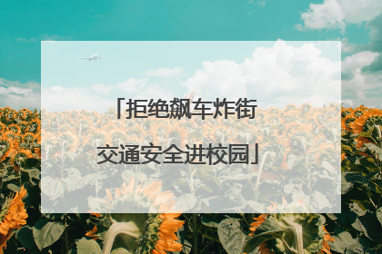 拒绝飙车炸街 交通安全进校园