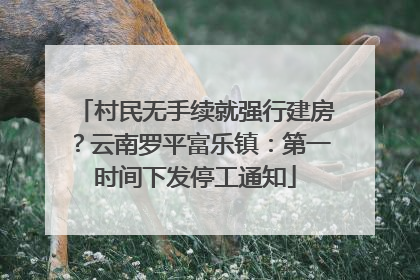 村民无手续就强行建房？云南罗平富乐镇：第一时间下发停工通知