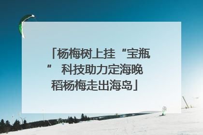 杨梅树上挂“宝瓶” 科技助力定海晚稻杨梅走出海岛