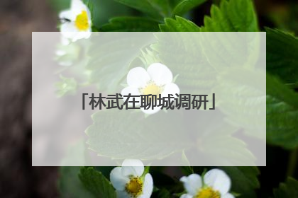 林武在聊城调研