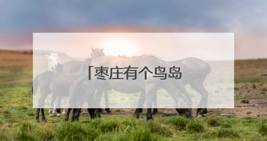 枣庄有个鸟岛，白鹭成群！