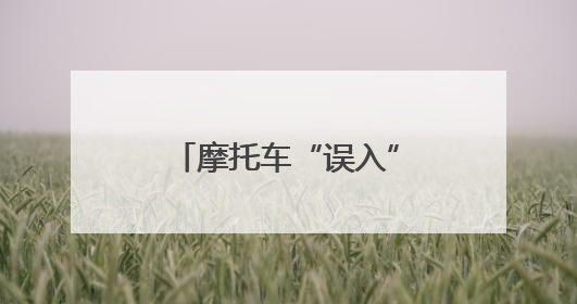 摩托车“误入”庄稼地，驾驶人“撒泼”终难逃