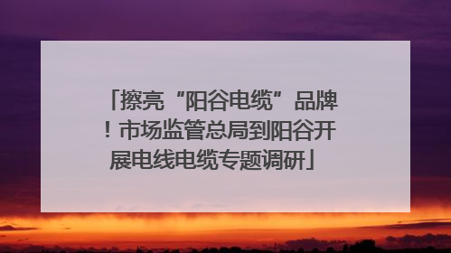 擦亮“阳谷电缆”品牌！市场监管总局到阳谷开展电线电缆专题调研