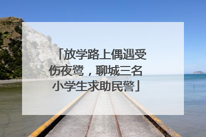 放学路上偶遇受伤夜鹭，聊城三名小学生求助民警