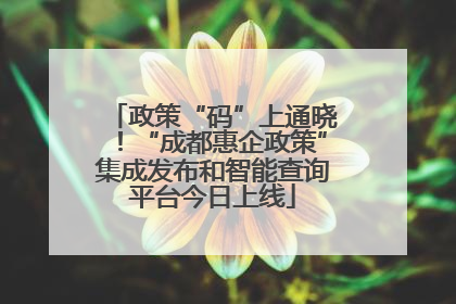 政策“码”上通晓！“成都惠企政策”集成发布和智能查询平台今日上线
