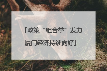 政策“组合拳”发力 厦门经济持续向好