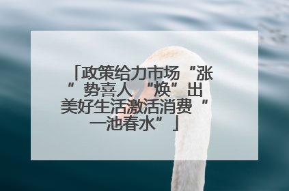 政策给力市场“涨”势喜人 “焕”出美好生活激活消费“一池春水”