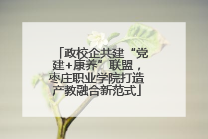政校企共建“党建+康养”联盟，枣庄职业学院打造产教融合新范式