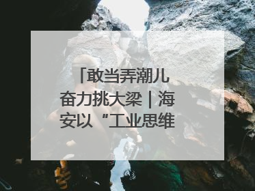 敢当弄潮儿 奋力挑大梁｜海安以“工业思维”拓宽共富路
