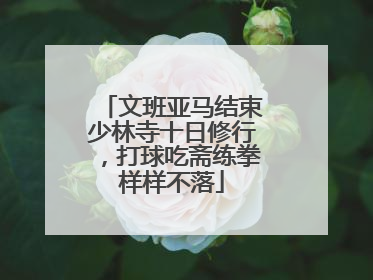 文班亚马结束少林寺十日修行，打球吃斋练拳样样不落