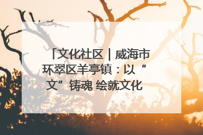 文化社区｜威海市环翠区羊亭镇：以“文”铸魂 绘就文化社区新画卷