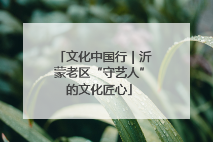 文化中国行｜沂蒙老区“守艺人”的文化匠心