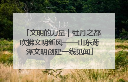 文明的力量｜牡丹之都吹拂文明新风——山东菏泽文明创建一线见闻