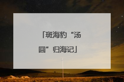 斑海豹“汤圆”归海记