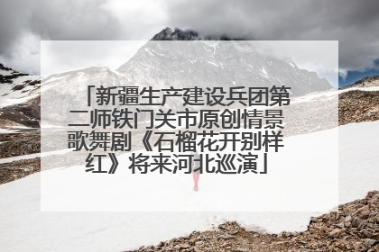 新疆生产建设兵团第二师铁门关市原创情景歌舞剧《石榴花开别样红》将来河北巡演