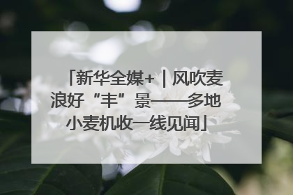 新华全媒+｜风吹麦浪好“丰”景——多地小麦机收一线见闻