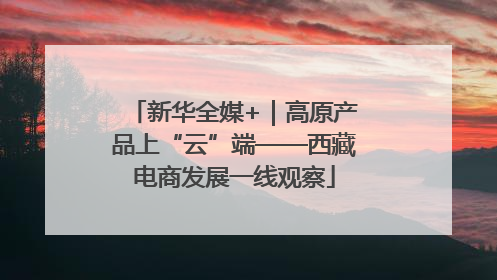 新华全媒+｜高原产品上“云”端——西藏电商发展一线观察