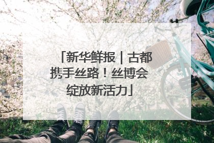 新华鲜报｜古都携手丝路！丝博会绽放新活力