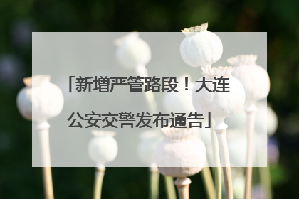 新增严管路段！大连公安交警发布通告